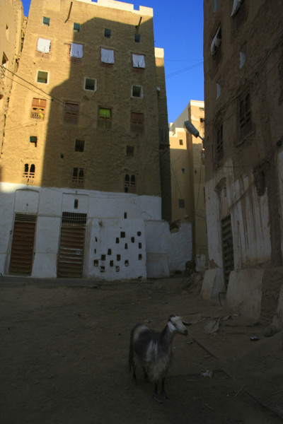 Yemen