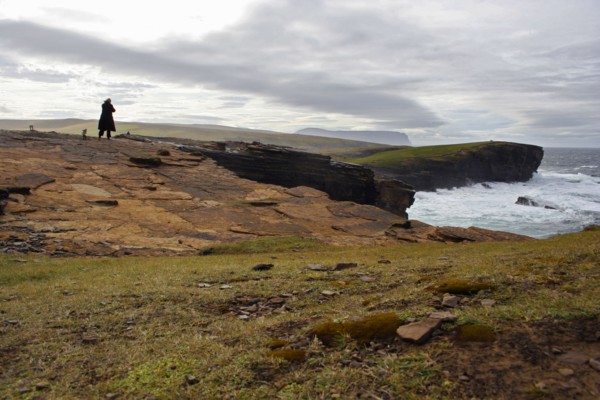 ECOSSE