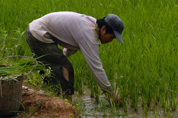 Vietnam Dien Bien Phu