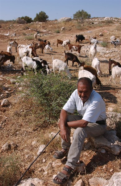 Alfe Menashe Israel