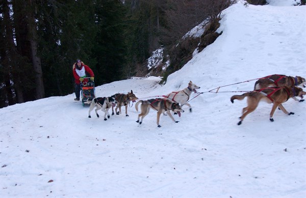 Grand Odyssee Race