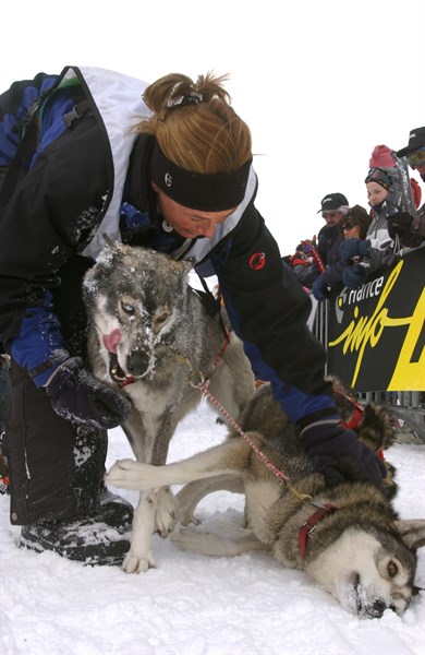 Grand Odyssee Race
