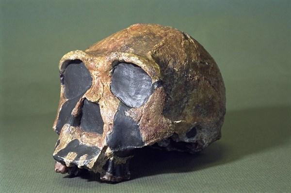 FRANCE PREHISTOIRE // FRANCE PREHISTORY