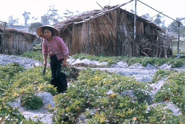 Vietnam, 1974