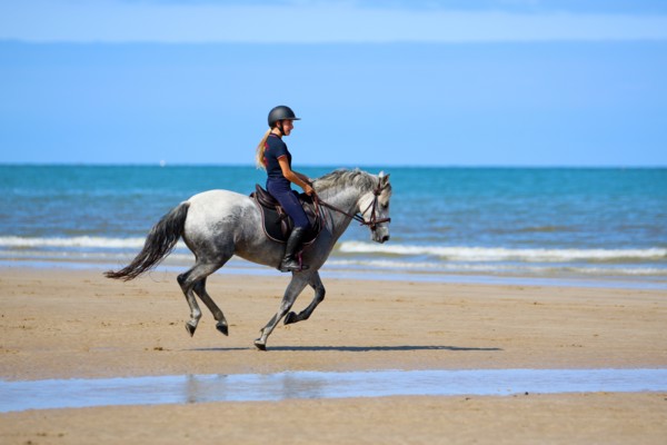 Equitation, France