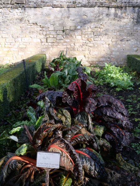 ABBAYE DE ROYAUMONT