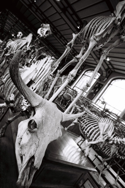 FRANCE HISTOIRE MUSEES