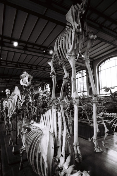 FRANCE HISTOIRE MUSEES
