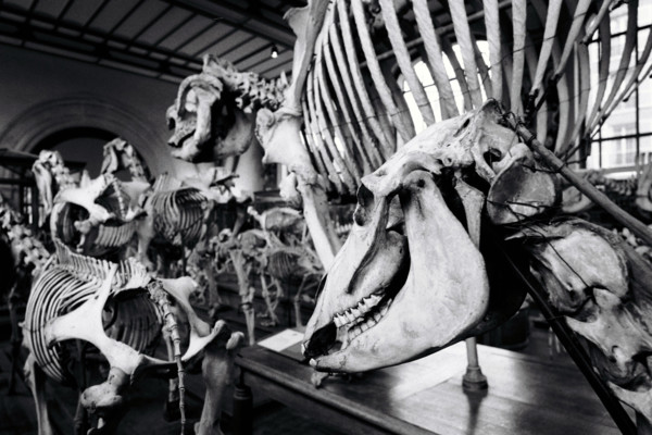 FRANCE HISTOIRE MUSEES