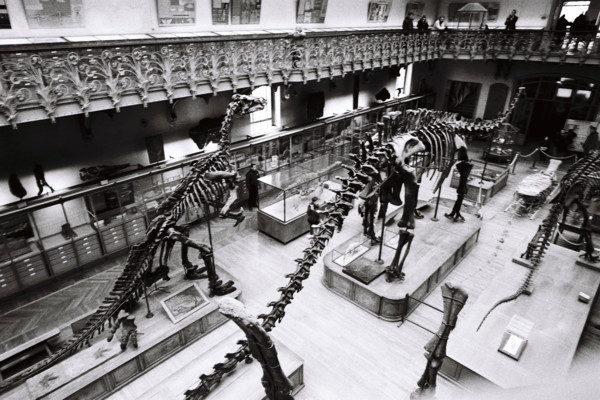 FRANCE HISTOIRE MUSEES