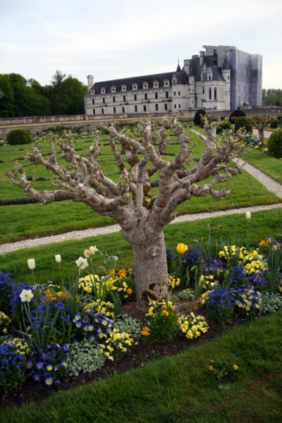 Château de Chenonceau