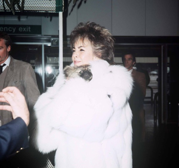 Elizabeth Taylor