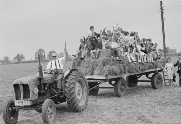 CV_Farm