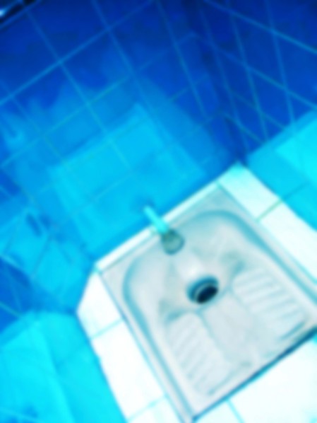 FRANCE SOCIETE HYGIENE
