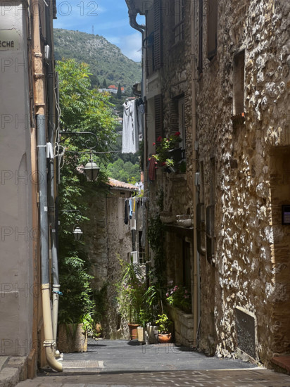 France-Régions-Alpes Maritimes