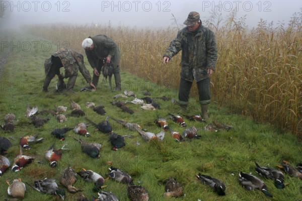 France - Société - Chasse