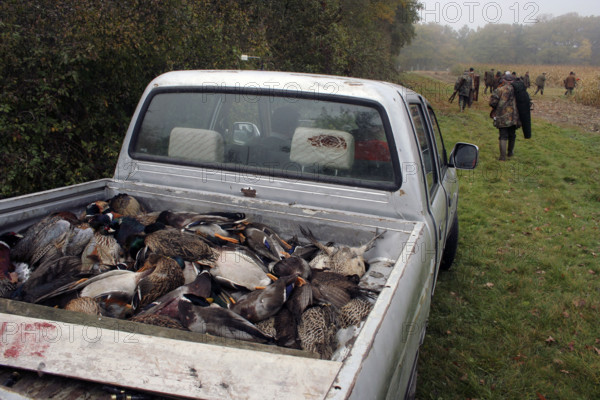 Chasse - France - Petit gibier