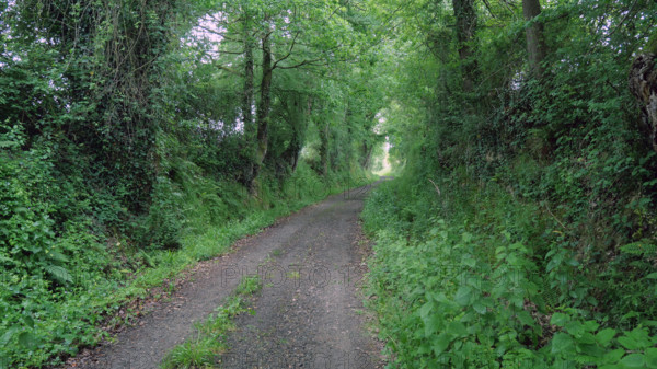 France - Régions - Nature
