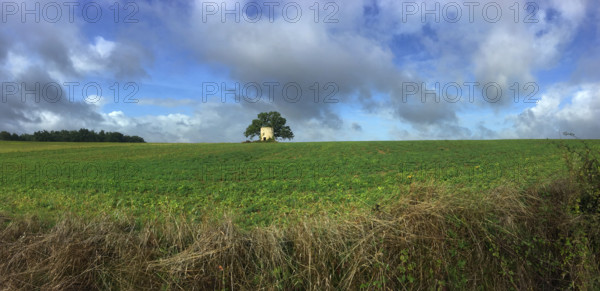 France - Régions - Nature