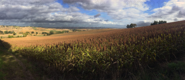 France - Régions - Nature