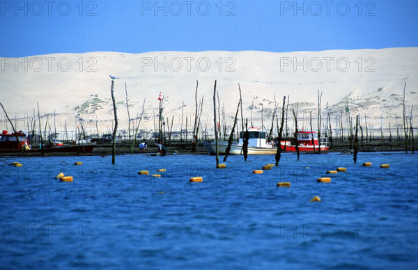France - Vacances - Cap Ferret