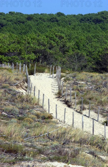 France - Vacances - Cap Ferret