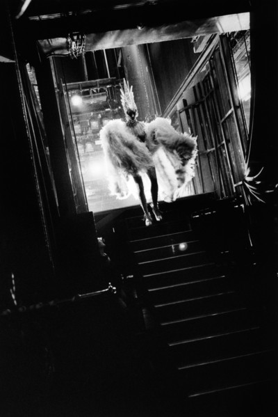 Le Lido de Paris: A one year of Bonheur