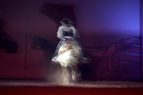 Festival royal du cheval et du chameau au Sultanat d'Oman, janvier 2006