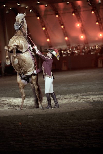 Festival royal du cheval et du chameau au Sultanat d'Oman, janvier 2006