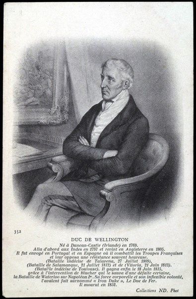 Portrait of General Wellington.