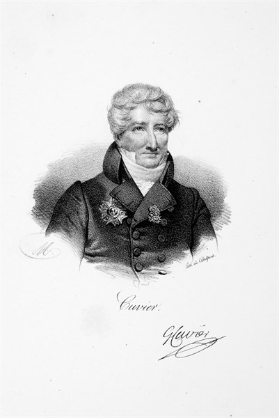 Georges Cuvier