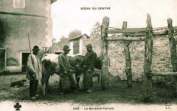 Post card