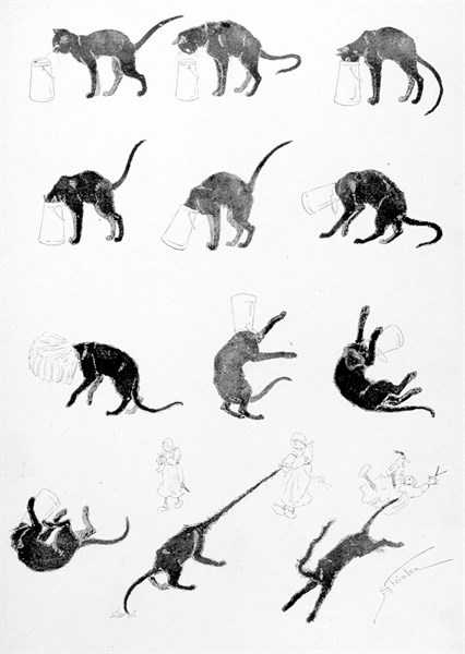 Chats, le chat à deux queues par Steinlen