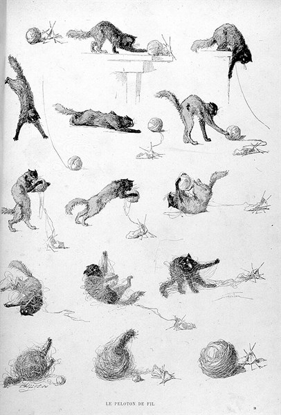 Chats, le peloton de fil par Steinlen