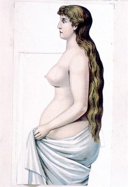 Human body, the woman, representation from the late 19th century