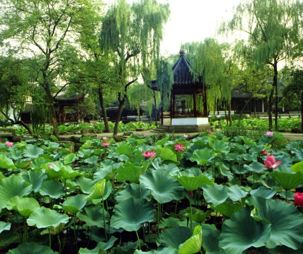 Suzhou Garden, Jiangsu, China