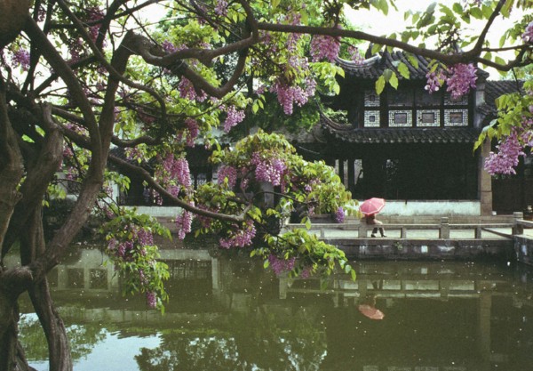 Jardin de Suzhou, province de Jiangsu, Chine