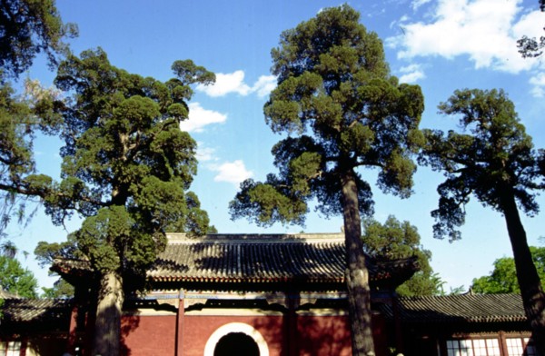 Parc des Collines Parfumées, Temple des Nuages d'Azur