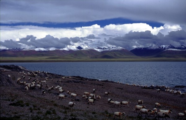 Lac sacré de Nam Co