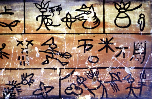Surface recouverte de pictogrammes à Naxi