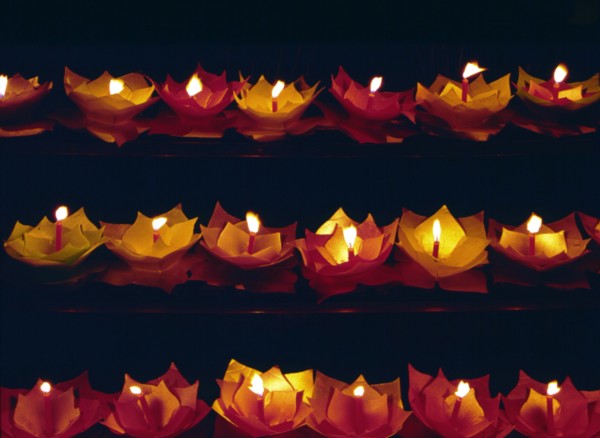 Lanternes lotus