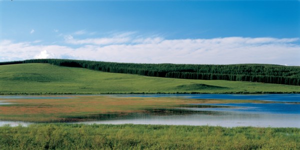 Prairies, Chine