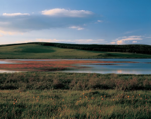 Paysage de prairie, Chine