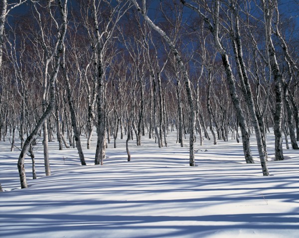 Snowy landscape, China