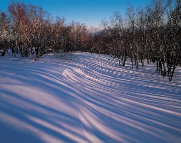 Snowy landscape, China
