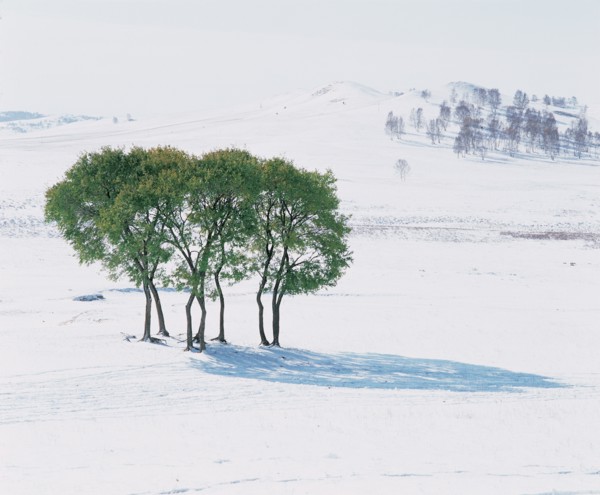 Snowy landscape, China