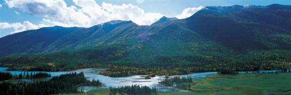 Prairie Zhongdian, Shangri-la, province du Yunnan, Chine