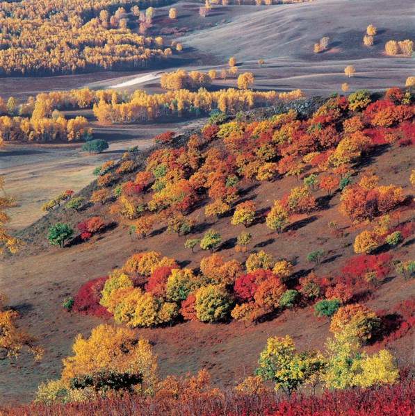 Bashang, Hebei Province China