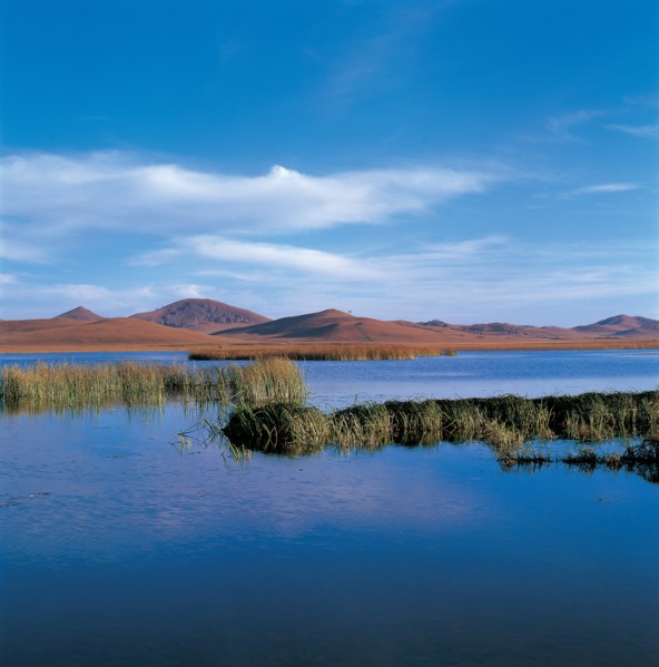 Marais, province du Hebei, Chine