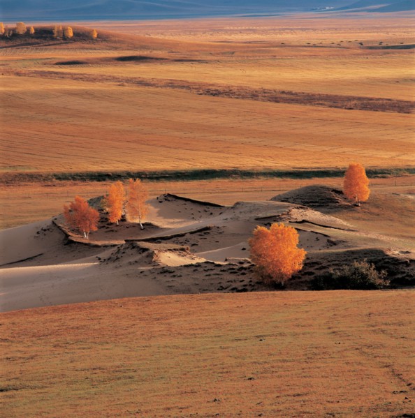 Grassland, Hebei Province, China